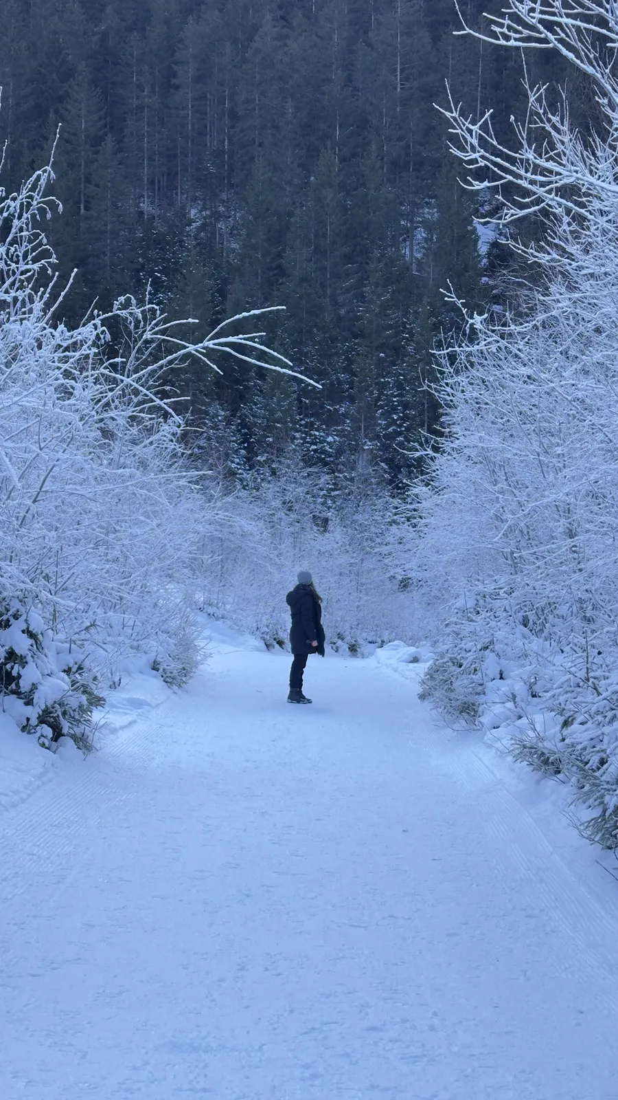 Caminhada por uma trilha de neve entre árvores congeladas