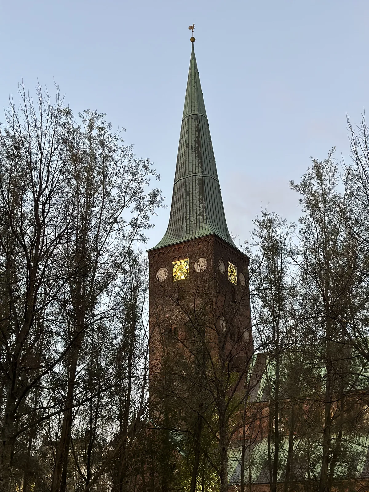 Torre de igreja entre árvores